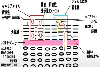 JMAA스페셜리스트 국제인증 강사과정